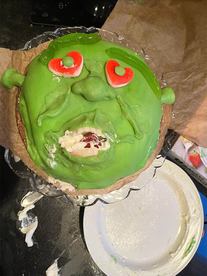 Shrek Cake Fails That Will Make You Cringe