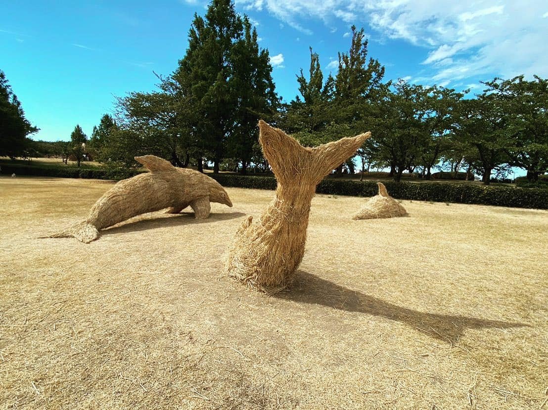 three dolphin sculptures made of straw