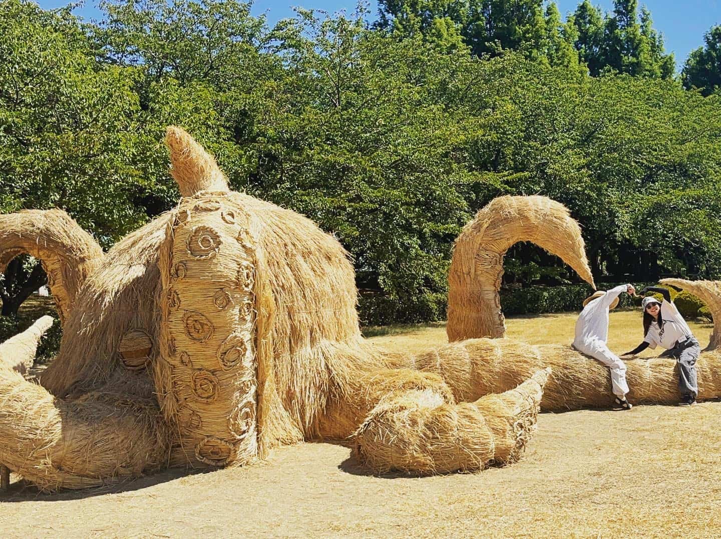 a mammoth octopus sculpture made of straw