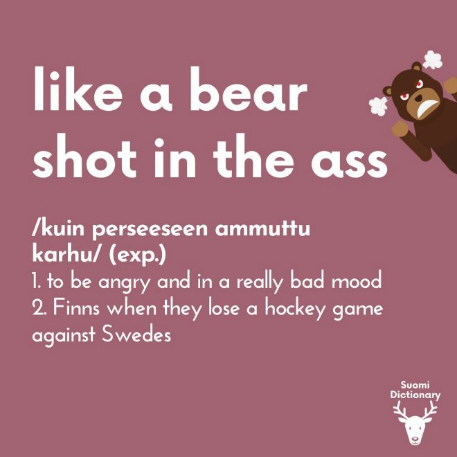 Suomi dictionary: Finnish words and sayings explained.