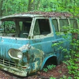Exploring An Abandoned Car Junkyard In Georgia