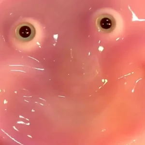 A Smiling Robot Face Made From Human Cells