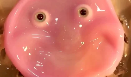 A Smiling Robot Face Made From Human Cells