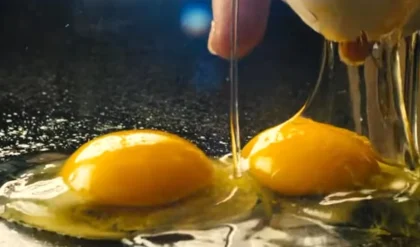 Eggstravaganza: The Ultimate Montage of Egg Scenes in Movies